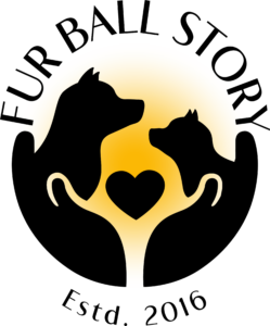 Fur Ball Story Logo
