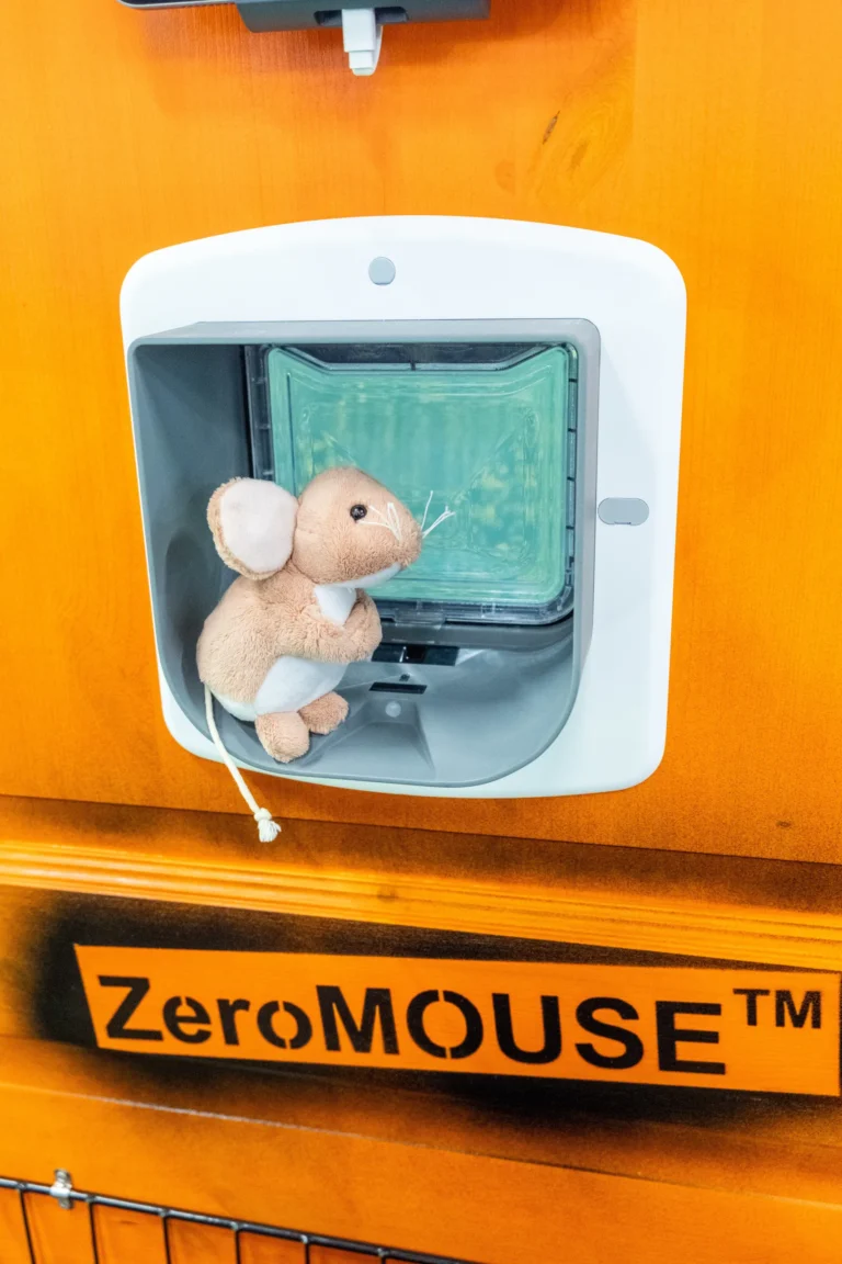 ZeroMOUSE AI cat flap blocking a toy mouse
